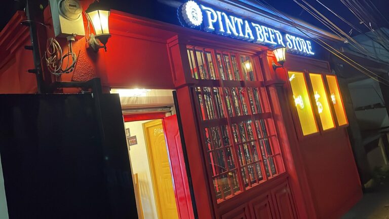 pintabeer stgo2 768x432